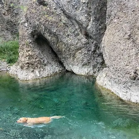 La Casa Della Lavanda *