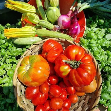 Apartment La Casa Della Lavanda *