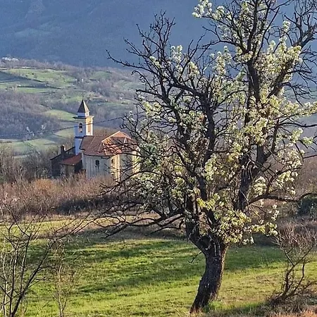 Apartment La Casa Della Lavanda *