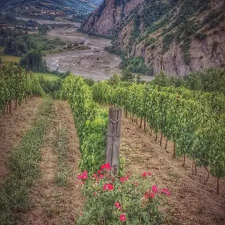 La Casa Della Lavanda Apartment *