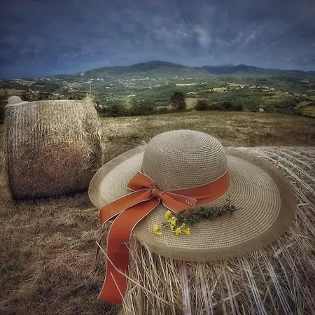 アパート La Casa Della Lavanda