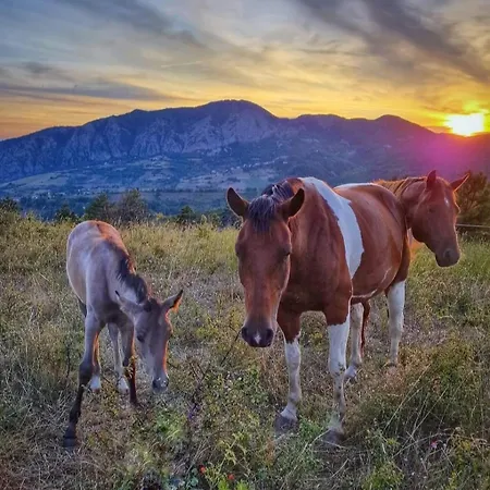 La Casa Della Lavanda * Borgo Adorno