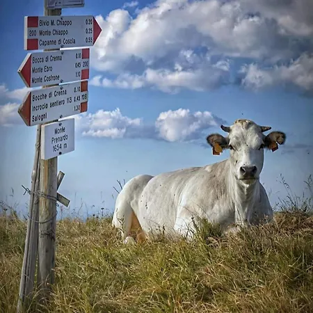 Apartment La Casa Della Lavanda *