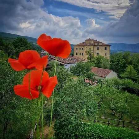 La Casa Della Lavanda