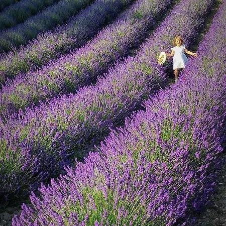 アパート La Casa Della Lavanda Borgo Adorno