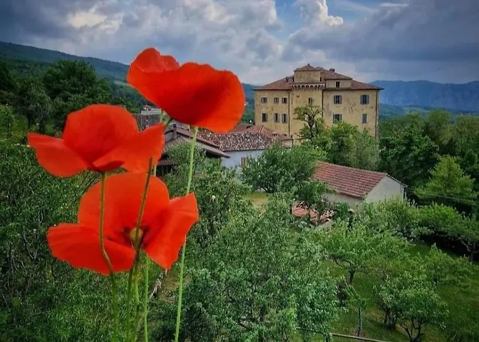 La Casa Della Lavanda